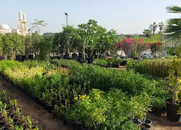 Miami landscaping llc