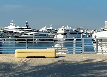 Mina Rashid Shed 2