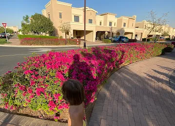 Mira 3