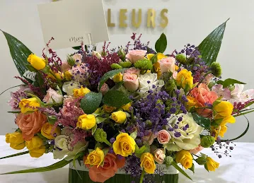 Mira fleurs