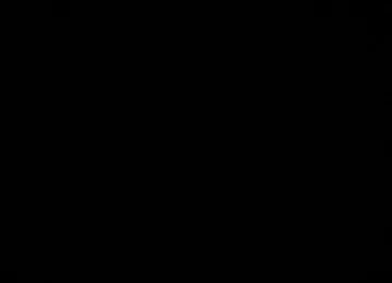 مجلس الصعاق