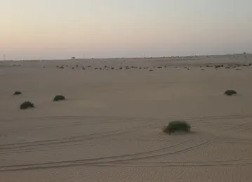 مخيم فريق المجد