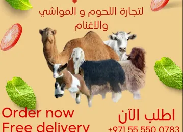 ???????? ملحمة بلطه ????????