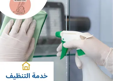 عاملات بالساعة تنظيف بالساعه خادمات بالساعات ابوظبي maids cleaning part time services