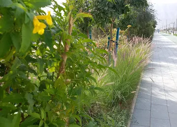 ممشى مزيد ( Mazyad Park )