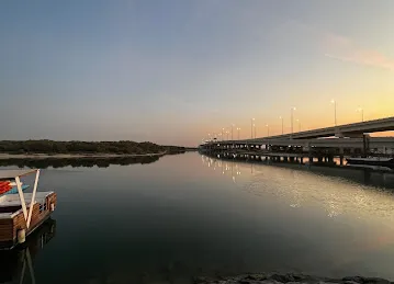 منتجع القرم الشرقي / المانجروف