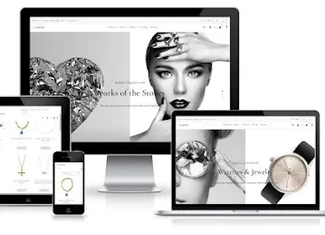 Modern Web Solutions | Website Design & Marketing Dubai | تصميم المواقع الالكترونية