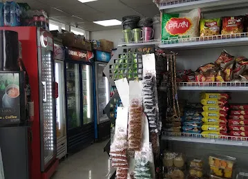 MOHAMED MOZAMEL GROCERY L.L.C.