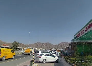Mohd. Ali Nursery