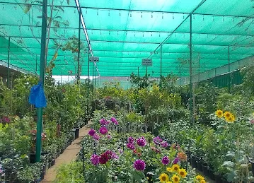 Mohd. Ali Nursery