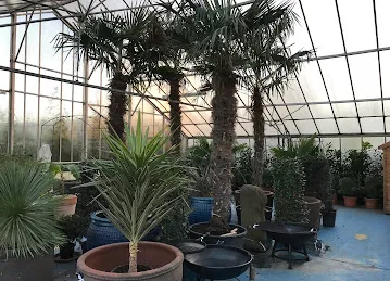 Mohd Hassan Restaurant