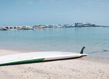 Monty's Rowing & Paddle Sports