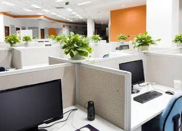 More Offices