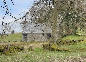 Mosque