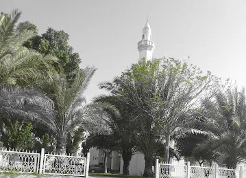 Mosque مسجد جامع