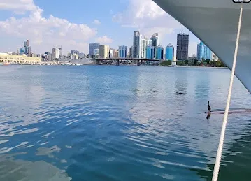 مرسى