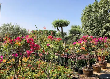 مشاتل ورسان Warsan Nurseries