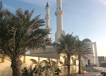مسجد بن درويش رقم 308