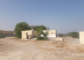 مسجد حمد بن عبد الله رقم 534