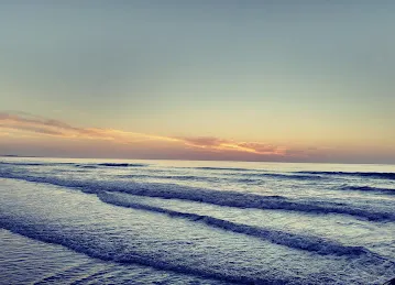 مسجد احمد راشد الشحي