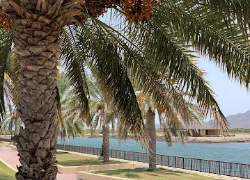مسجد الامام أبو حنيفة
