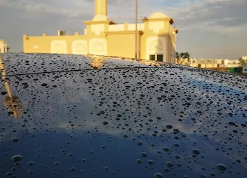مسجد المروج