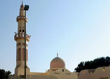 مسجد الشهيد محمد علي حسن الحوسني 749