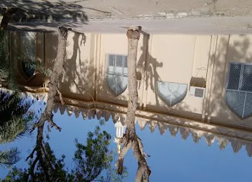 مسجد محمد سلطان باليازية النيادي