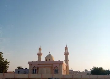 مسجد عامر