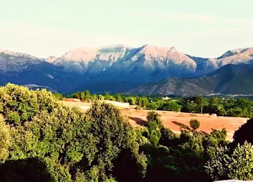 مسجدجامع الفوعه