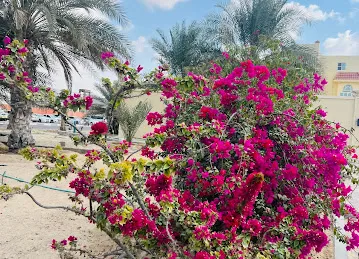 مسجدالشيخ حمدان بن زايد