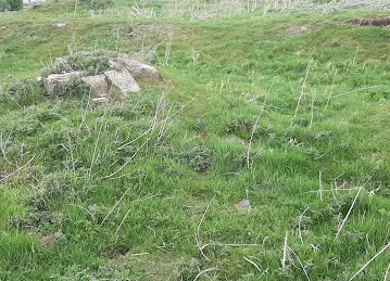 مطعم بخاري