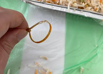 مطعم ملوك المندي Muluk AL mandi Restaurant