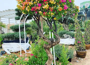 MUGHEL LANDSCAPING