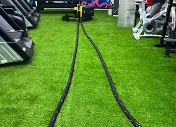 Muscle Gear Fitness