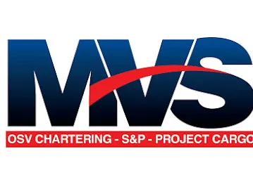 MVS International