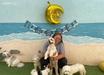 My Buddy Pet Care
