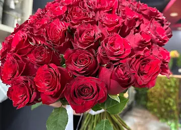 MY ROSES DMCC