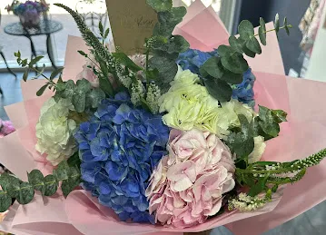 MY ROSES DMCC