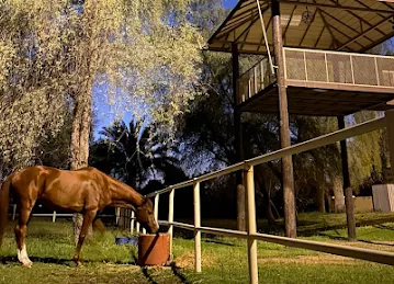 مزرعة الروضة Alrawda Farm