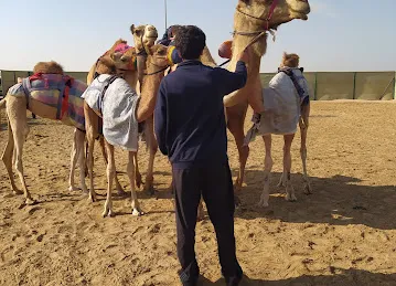 مزرعة مريم