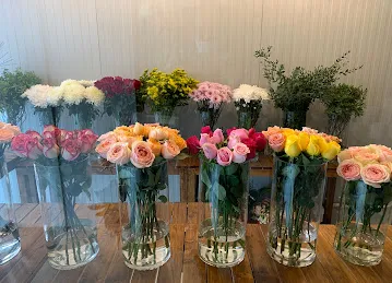 Nabta Flowers