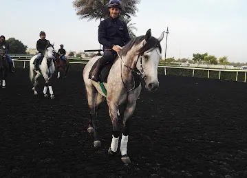 Nad Al Sheba Main Stadium