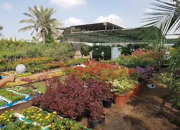 Nad Al Sheba Nursery