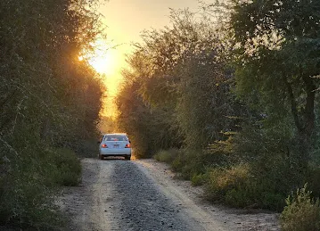 Nad Al Sheeba Forest Trail - II