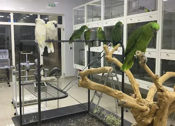NAD ALSHIBA BIREDS BREEDING CENTER