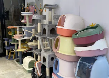 奈斯宠物&Super lucky pets