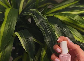Nails Ladies Salon