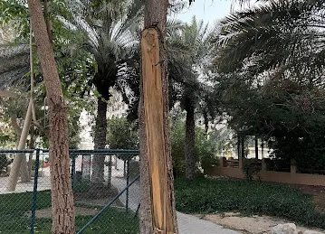 Nakheel Nami Offices