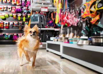 Nancy Pet Shop